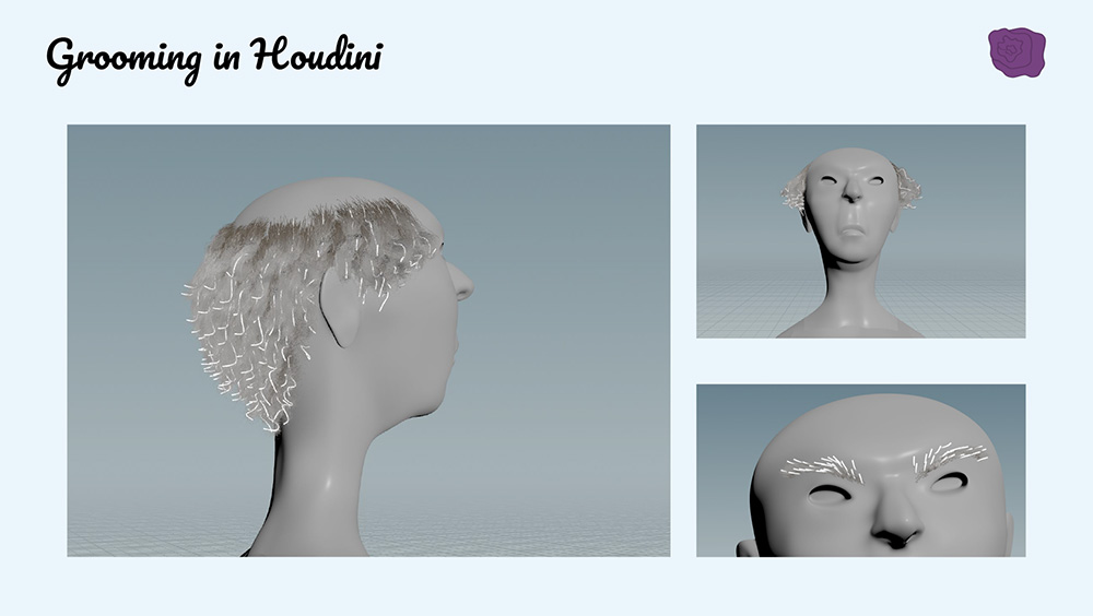 Victor's Granny model and its grooming guides in Houdini.