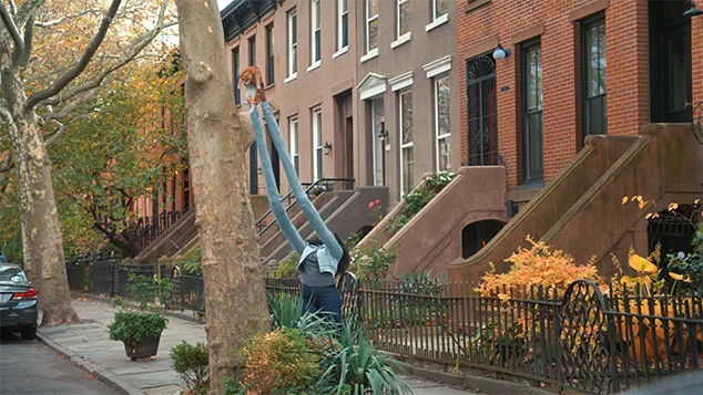 CG arm extension of Brooks holding a cat.