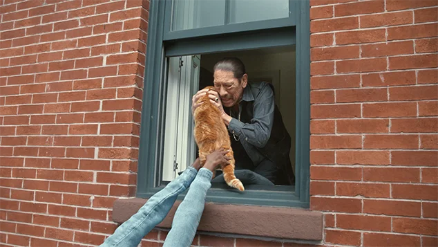 The cat gets passed to Danny Trejo with a CG arm extension.